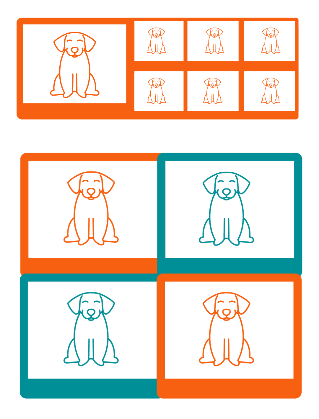 foto DNI perros madrid